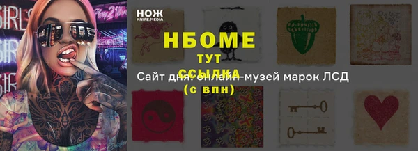 мет Ельня