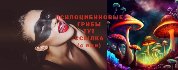 мет Ельня