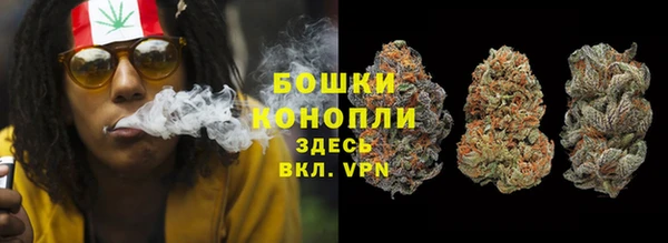 мет Ельня