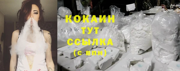 мет Ельня