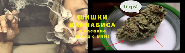 ПСИЛОЦИБИНОВЫЕ ГРИБЫ Вязники