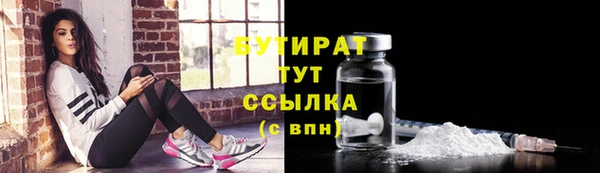 ПСИЛОЦИБИНОВЫЕ ГРИБЫ Вязники