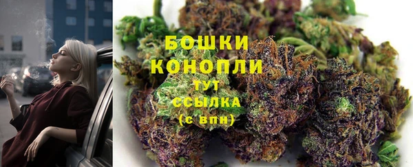 ПСИЛОЦИБИНОВЫЕ ГРИБЫ Вязники