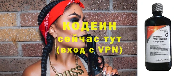 ПСИЛОЦИБИНОВЫЕ ГРИБЫ Вязники
