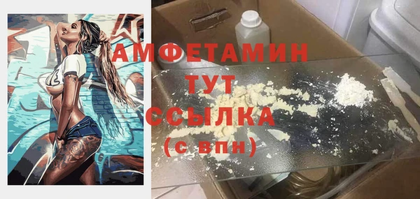 ПСИЛОЦИБИНОВЫЕ ГРИБЫ Вязники