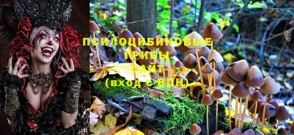 спиды Тобольск