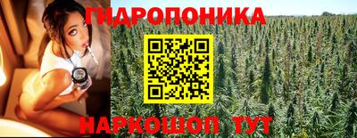 СК Балаково