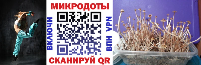 Галлюциногенные грибы MAGIC MUSHROOMS  Гай 