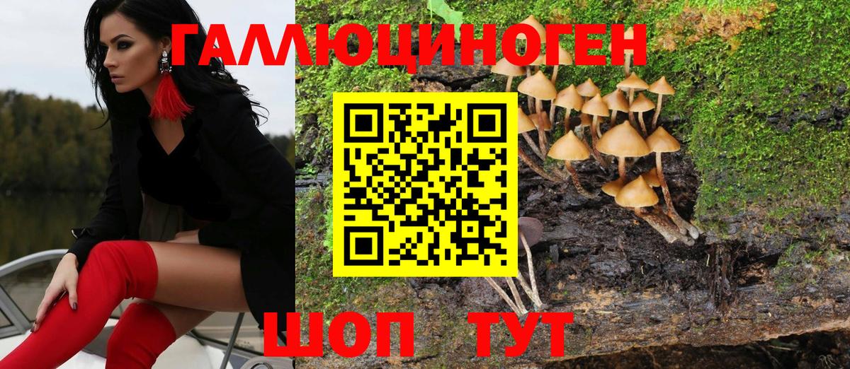Галлюциногенные грибы MAGIC MUSHROOMS Гай