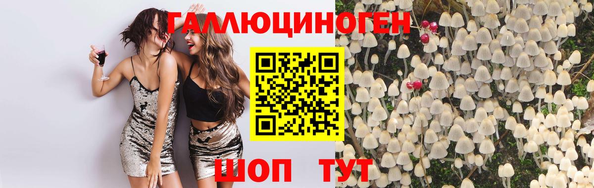 Галлюциногенные грибы Cubensis  Гай  Галлюциногенные грибы прущие грибы 